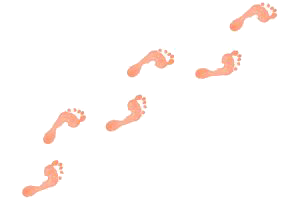 shape